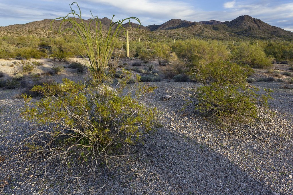 Scottsdale Council to Discuss Water Purchase in Harquahala Valley